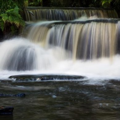 Channel your inner child with a visit to Rivelin Valley