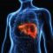 You and Your Health: Liver disease