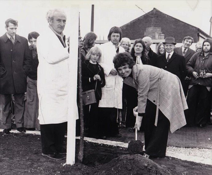 Cynthia Shaw Rotherham planting a tree at Rockingham Colliery