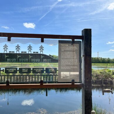 A flock of stories: uncovering RSPB Old Moor’s heritage