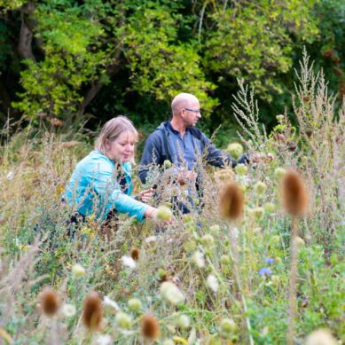 Join free Wild Wellbeing sessions this winter