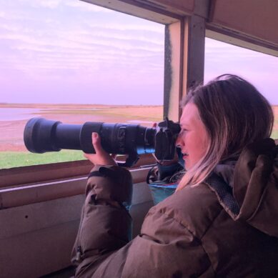 From blow-dries to birdsong