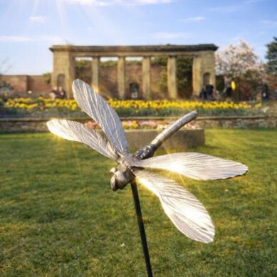 Barnsley Hospice launches Dragonfly Appeal