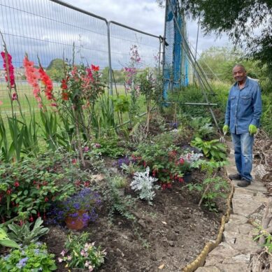 Windrush Legacy Garden opens in Sheffield